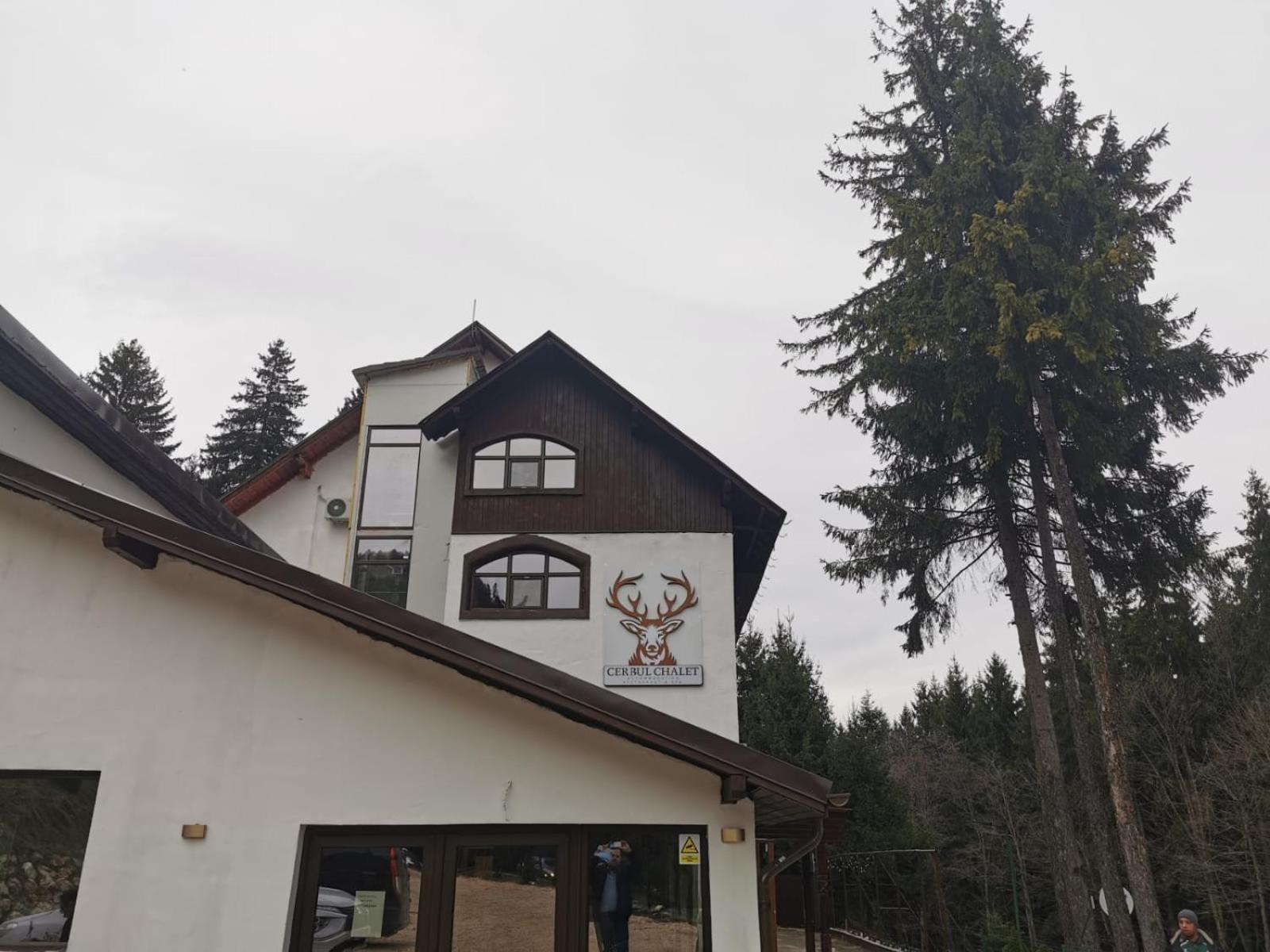 Cerbul Chalet Accommodation & Wellness Rîşnov Exterior foto