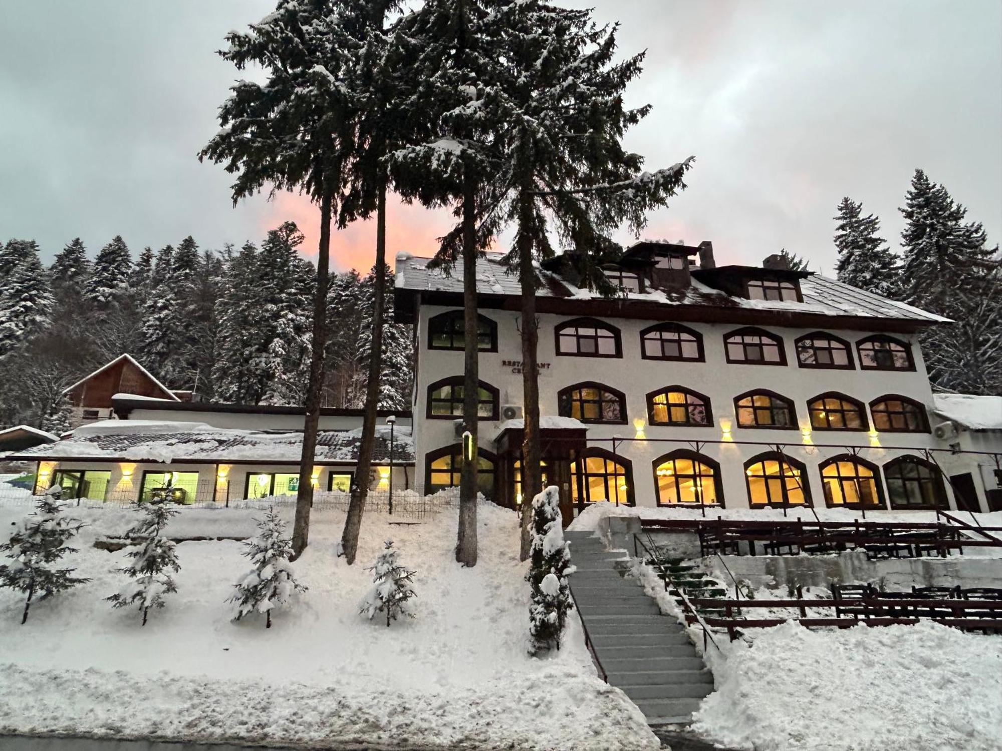 Cerbul Chalet Accommodation & Wellness Rîşnov Exterior foto